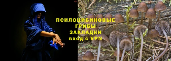 бутират Михайловск